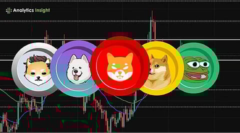 Which Meme Coin Narrative Will Dominate in 2026?