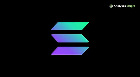 Solana Risk Profile 2026: Speculation or Value?