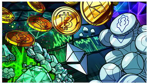 BNB Whales Track This New