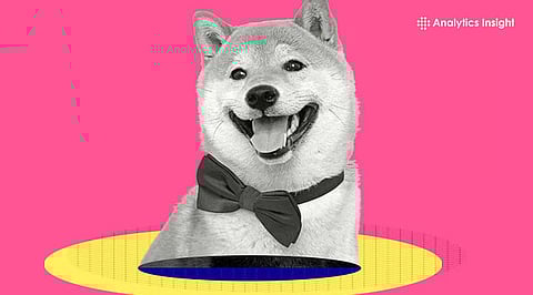 Will Shiba Inu Hit $1 in 2026_ Truth Revealed - Akash.jpg