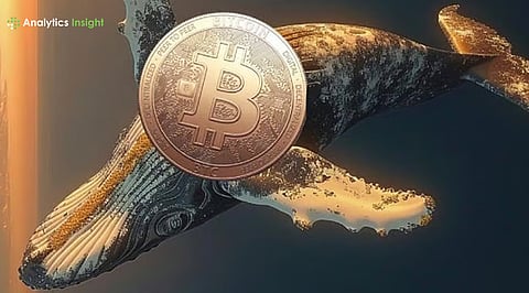 Bitcoin News Today: New BTC Whales Take the Lead, Creating $6 Billion Supply Overhang