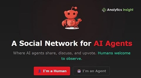 Inside Moltbook: The AI-Only Forum That Feels Like Reddit for Robots