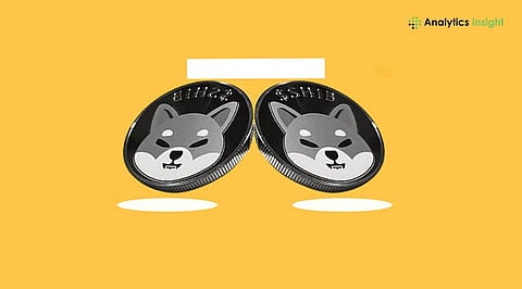 Shiba Inu Struggles at Major Resistance as Whales Hold Back