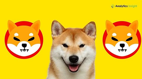 Will Shiba Inu Reach $1 in 2026? A Realistic Look