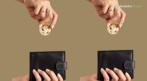 Dogecoin Wallet Balance Check: Complete Guide for 2026