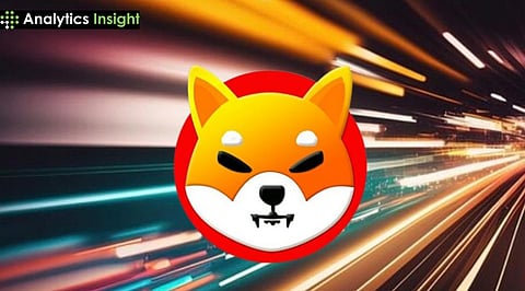 SHIB Outflows Rise as Team Silence Fuels Market Caution