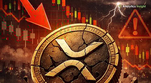 Why XRP Is Dropping in 2026_ Top Factors Behind the Decline