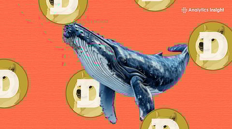 Top 10 Dogecoin Whales You Should Know in 2026