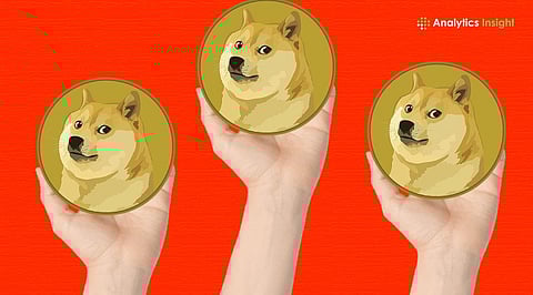 Top 10 Largest Shiba Inu Holders in 2026: Full Breakdown