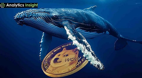 Dogecoin News Today: DOGE Whales Add 500M DOGE as Breakout Pressure Builds
