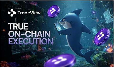 Perp DEX vs Centralized Exchanges: TradeView’s Approach to Transparency and Execution Compared Clearly