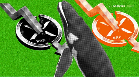 Crypto News Today_ Bitcoin Inflows, XRP Whale Outflows, and Strategy BTC Selling.jpg