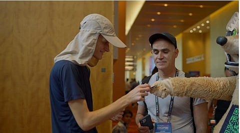 How a Hedgehog, a Condom, and Vitalik Buterin's Bow Became the Most Efficient Distribution Strategy in Crypto