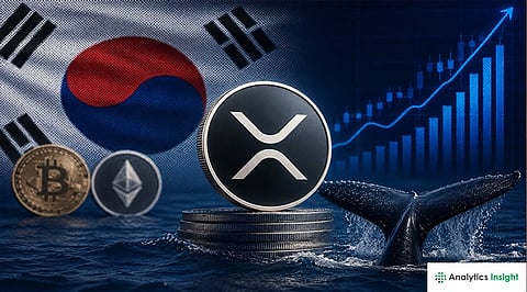 XRP Trading Overtakes Bitcoin on South Korean Exchanges