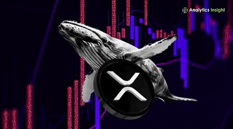 XRP Whales Are Back: 10,000 Token Wallets Just Hit a Record High - What’s Next?