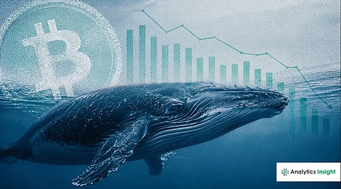 XRP News Today: XRP Whales Hold Record Supply as ETF Flows and Leverage Cool