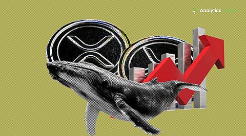 XRP Whales Hit All-Time Highs as $1.50 Target Comes Into Focus