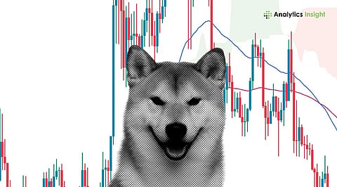 Is Shiba Inu a Good Investment Ahead of the Next Bull Market_.jpg