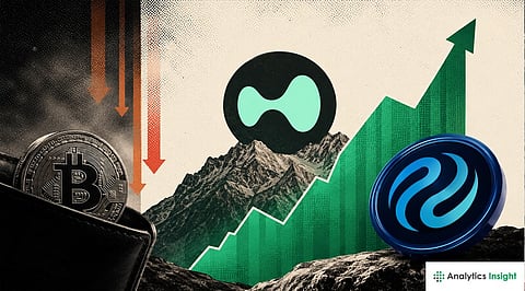 itcoin-Outflows,-HYPE-TVL-at-Record-High,-and-Injective-Jumped-6.jpg