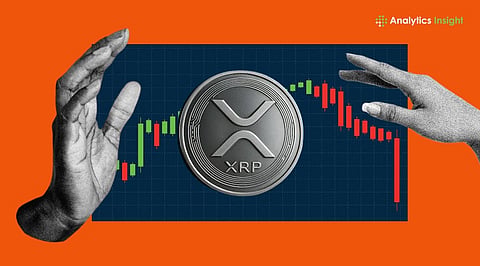 XRP’s Real Value: Why Utility Matters More Than Market Cap