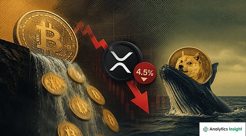 Crypto News Today: Bitcoin Outflows, XRP 4.5% Down, and DOGE Whales Bought the Dip