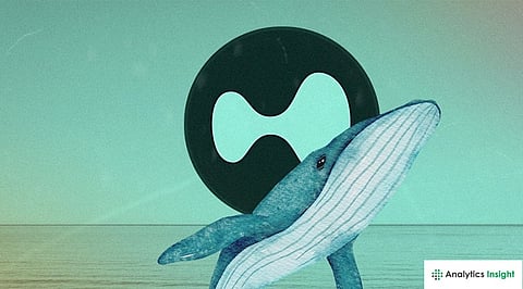 Crypto News Today: Hyperliquid Price Slides as Derivatives Selloff Hits HYPE Hard