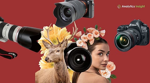 Top 10 Wildlife Photography Cameras for Beginners in 2026