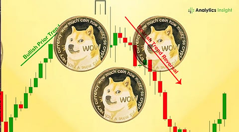 Is 420 Million DOGE in 7 Days a Bearish Signal or Just Noise?