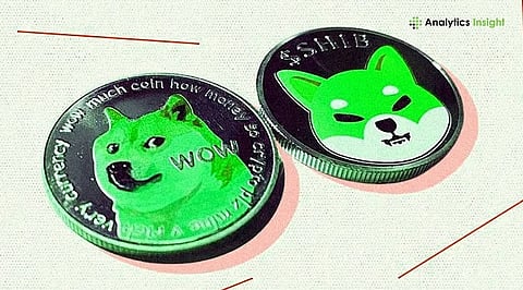 Can Meme Coins Such as Dogecoin Be Considered Long-Term Investments?