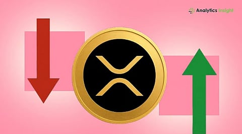 XRP Network Activity Climbs as Investors Buy the Dip
