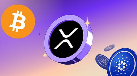 Crypto News Today: Bitcoin Inflows, XRP Funding Rate Plunges, Cardano Jumps 8%