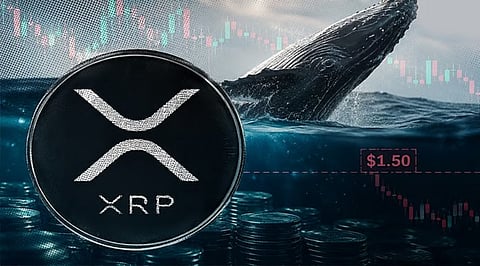 XRP Rallies as Whale Accumulation, Clarity Act Hopes Lift Demand