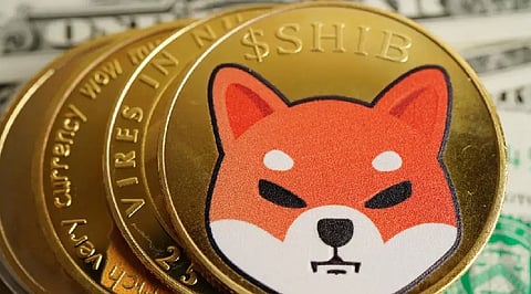 SHIB Price Outlook: Why Shiba Inu Remains Flat Despite Bullish On-Chain Signals