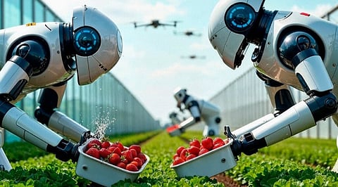 How AI and Robotics are Transforming Food & Beverage Manufacturing