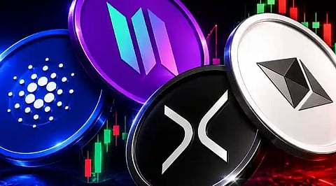 Best-Altcoins-That-Could-Lead-the-Crypto-Market-in-H2-2026.jpg