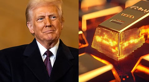 Trump Digital Gold Crashes