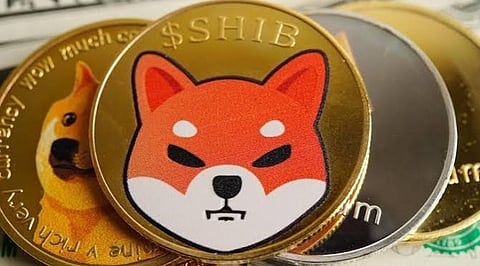 Shiba Inu September 2026: Can SHIB Recover as Burn Activity Slows?