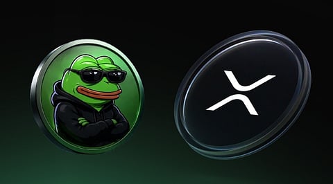 AlphaPepe Tops 11,600 Holders as XRP Eyes Bigger Market Move