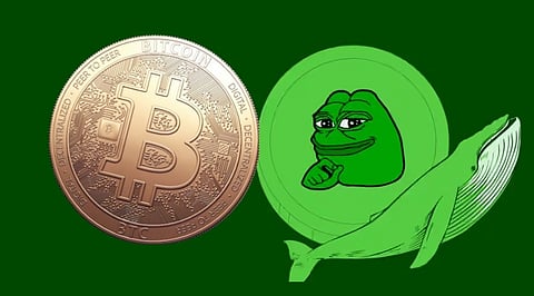 Crypto News Today: Bitcoin Outflow, LAPTOP Collapses 95%, Pepe Whales Sold 80 Billion Tokens