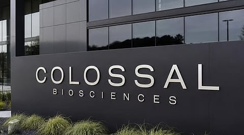 Colossal Biosciences announces new AI platform to help accelerate de-extinction efforts.