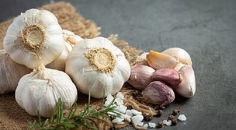 How Emerging Technologies Influence Global Garlic Price Fluctuations