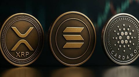 Where Are XRP, ADA and SOL Prices Heading in November 2026_.