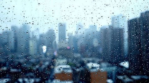 What makes “The Weather Channel” the best forecaster in the world