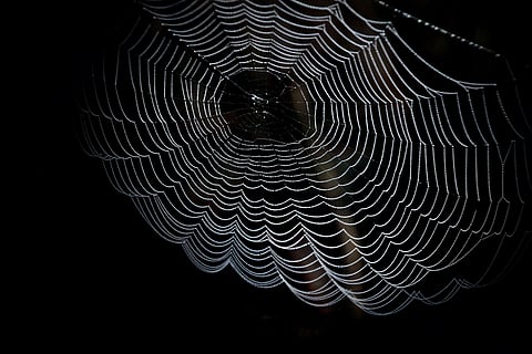 Understanding Dark Analytics: Potential, Advantages & Risks