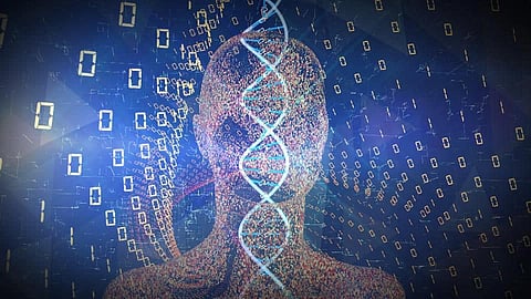 Machine Learning Can Better Assess Heart Attack Risks, Mining the Myriad Details