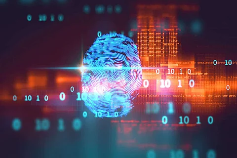 The Importance of Biometric Fingerprints in Hospitals