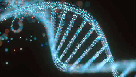 DNA (deoxyribonucleic acid) structure, illustration.