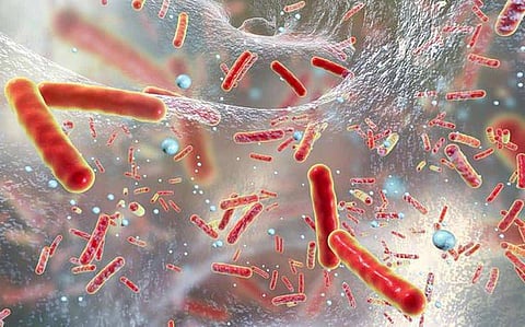 Harnessing the Power of Deep Learning for Innovative Antibiotics Drug Discovery