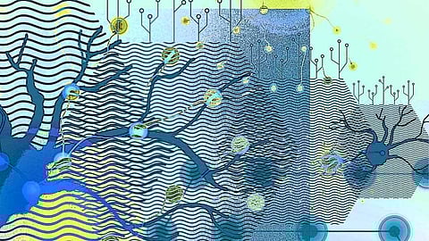 How AI and Neuroscience Can Help Each Other Progress?