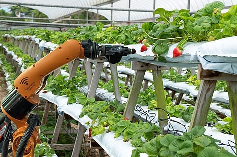 Robots on the Farm